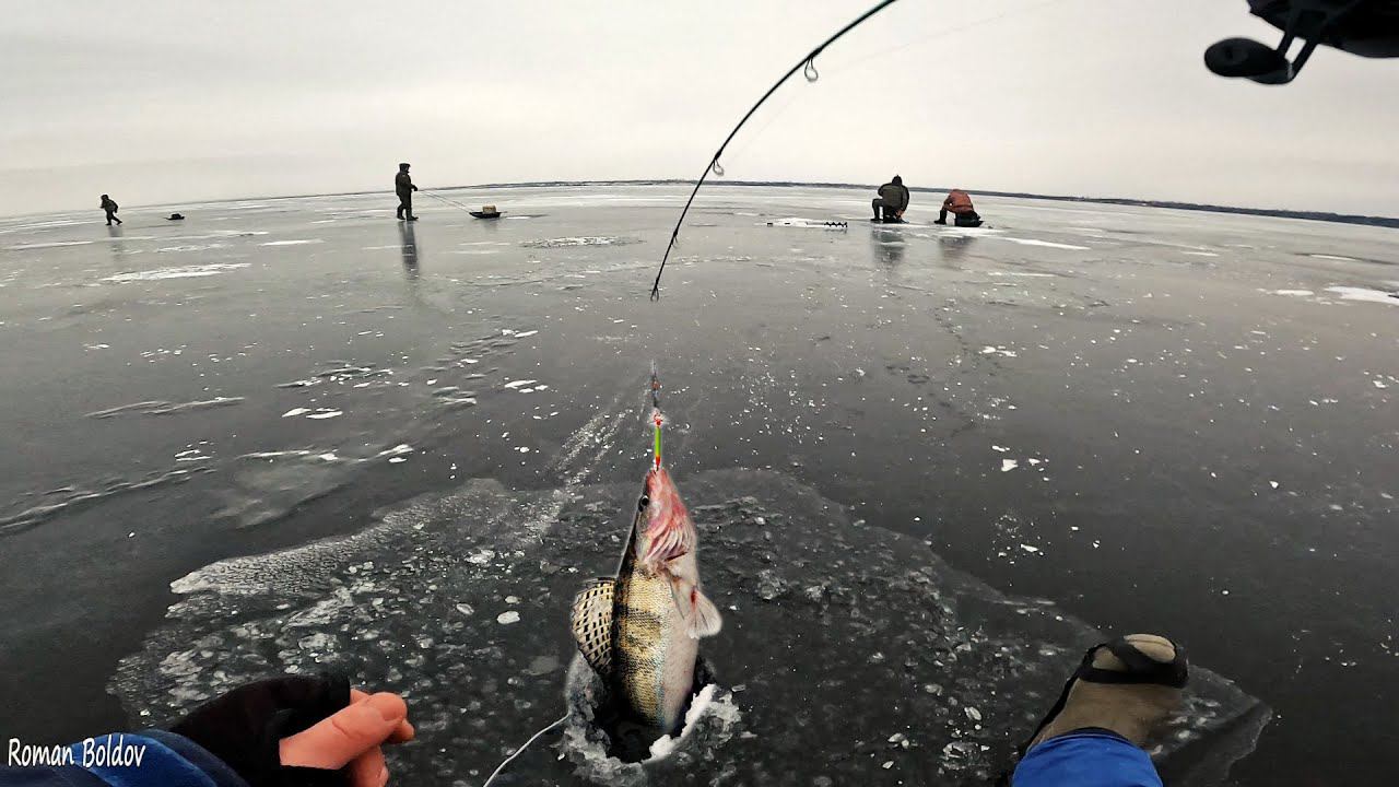 Первый лед 2023-2024 ЛОВЛЯ БЕРША НА ТЮЛЬКУ. Зимняя рыбалка на реке Волга смотреть онлайн