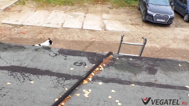 Усилитель сотовой связи и 4G-интернета МТС на производстве смотреть онлайн