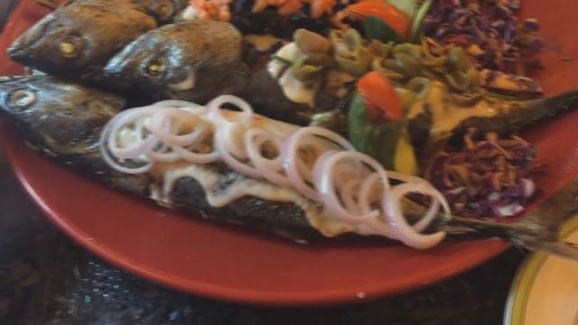 Отпуск в Тунисе 2019 🌴 Отель Sol Azur Beach 🌴 Отель Bel Azur 🌴 Все включено🍍🍹(часть 2)