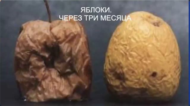 Тайные свойства воды. Истоки благополучия смотреть онлайн