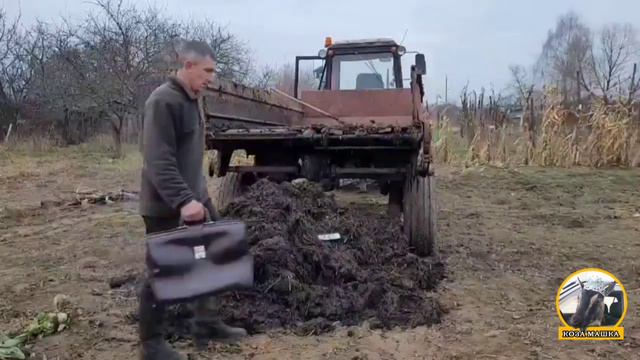 Деньги не пахнут ! смотреть онлайн
