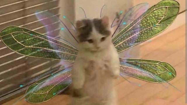 где прошла ты там упала звезда🖤 смотреть онлайн