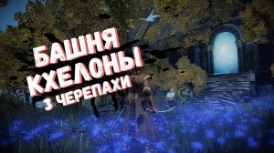 ELDEN RING БАШНЯ КХЕЛОНЫ , ТЁМНАЯ ЛУНА РЕННИ / РАЗЫЩИТЕ ТРЁХ БОЛЬШИХ МУДРЫХ ЗВЕРЕЙ