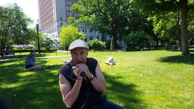 Harp at public garden смотреть онлайн