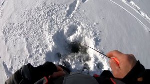 Ловля окуня зимой. Балансир Лаки Джон Фин Удивляет! Lucky John Fin . Балансир на окуня.