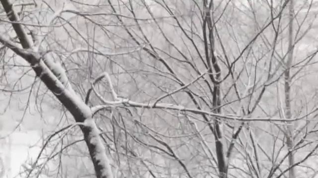 Снег идет смотреть онлайн