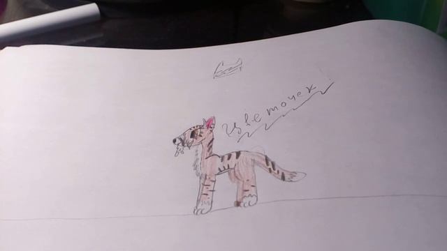 Как я рисую котов воителей(2 часть)сори за звук •~• смотреть онлайн