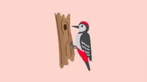 Шумовой оркестр "Весенние мотивы"