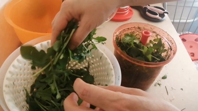 Как заморозить зелень на зиму. Контейнер для льда Морозко смотреть онлайн