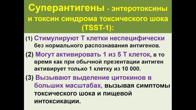 8.00 Грамположительные кокки смотреть онлайн