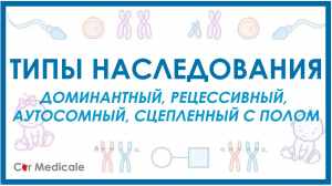 Типы наследования: доминантный, рецессивный, аутосомный, сцепленный с полом
