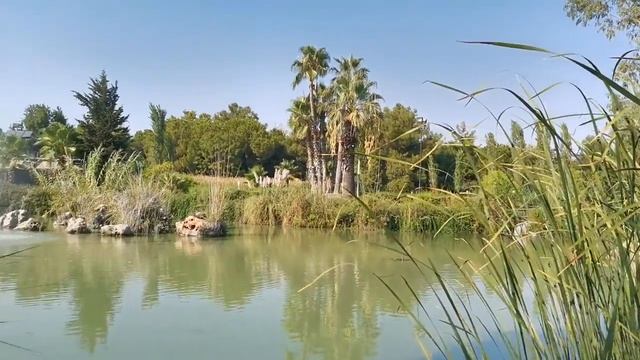 Где погулять в Анталии? Парк Ататюрк! Достопримечательности. смотреть онлайн