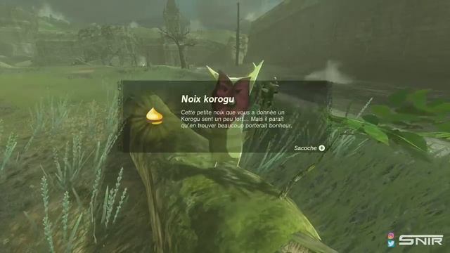 Zelda Tears of The Kingdom : 5 Améliorations GÉNIALES à débloquer FACILEMENT ? Détecteur, Inventair смотреть онлайн