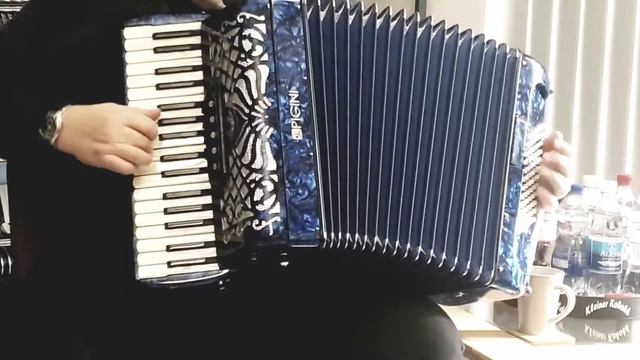 Klangprobe Akkordeon Pigini Preludio P36/3 смотреть онлайн