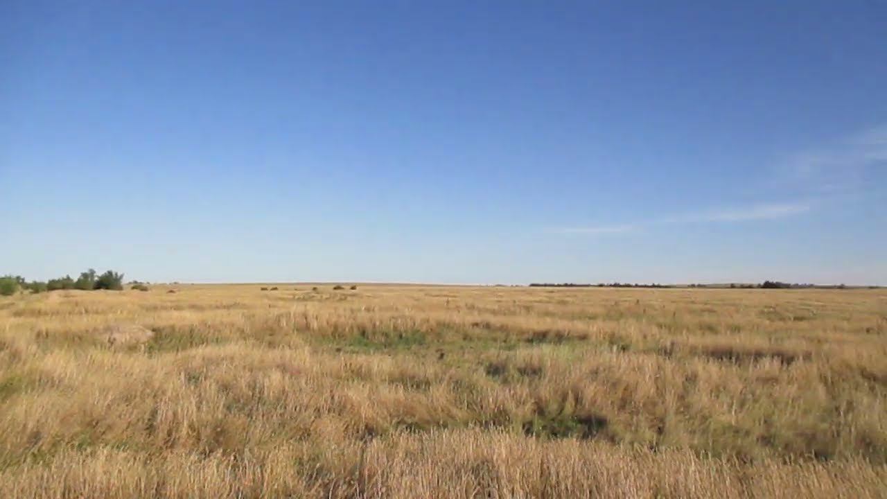 Заброшенная деревня Песковатка, Лысогорский район