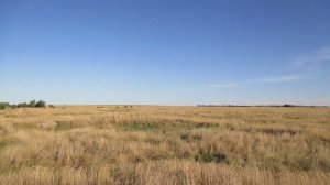 Заброшенная деревня Песковатка, Лысогорский район