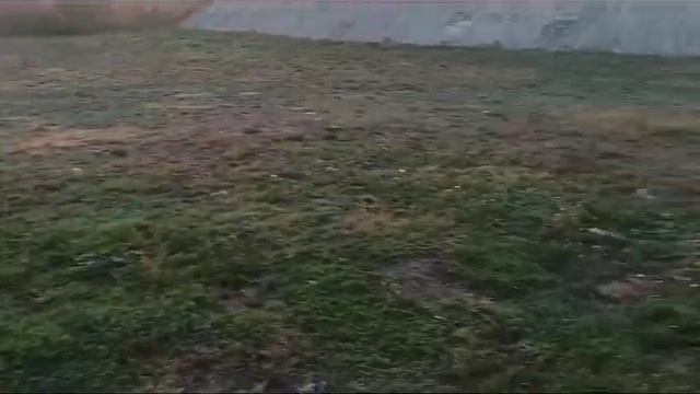 Богатырь-Начинаем с понедельника. смотреть онлайн