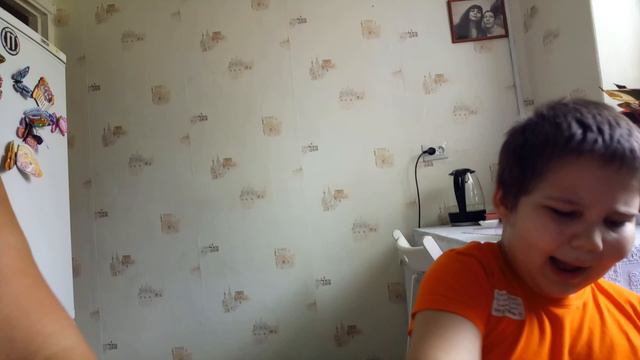 Карточки домана. Дикие животные и другие смотреть онлайн