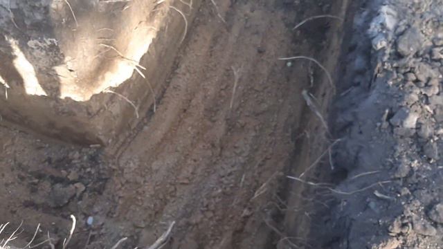 Дом мерседес. День 1. смотреть онлайн