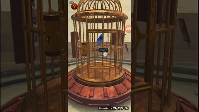 How to Complete Level 1 Of Bird Cage game смотреть онлайн