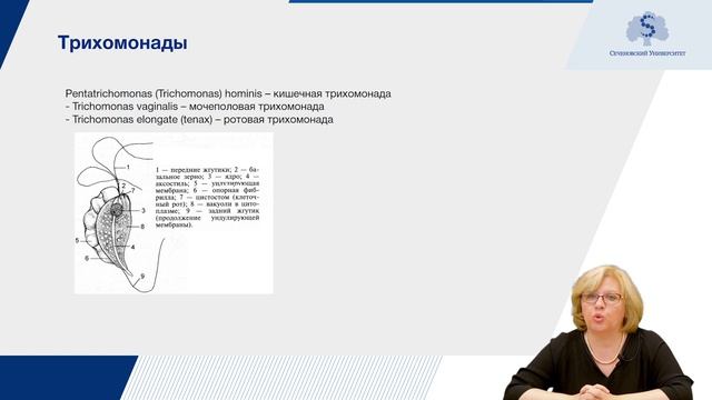 Простейшие. Часть 1 смотреть онлайн