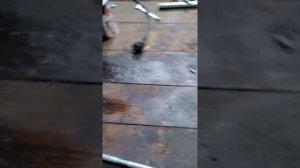 что будет если долго не менять масло в двигателе уд15.