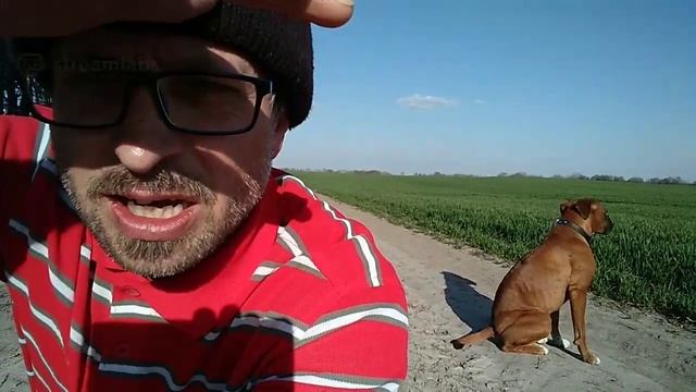 Добро пожаловать на стрим! Бухгалтер в эфире смотреть онлайн