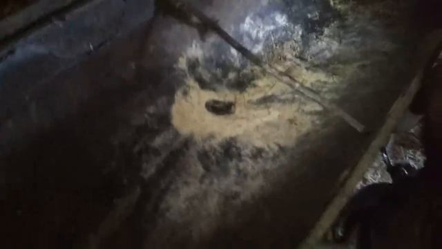 Рацион двухмесячных телят смотреть онлайн