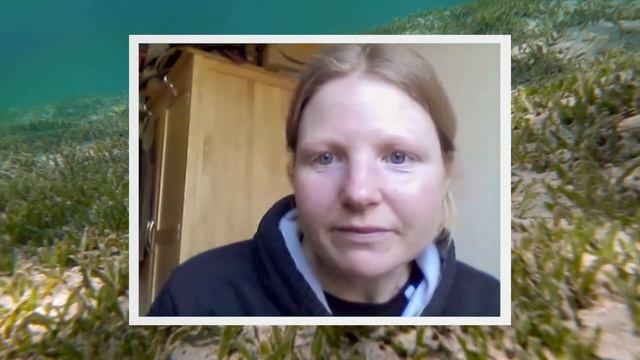 Dr Mel Broadhurst on Seagrass in the Bailiwick and beyond | World Seagrass day смотреть онлайн
