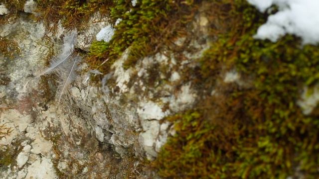 ПРИРОДНЫЕ ДОСТОПРИМЕЧАТЕЛЬНОСТИ | санаторий БЕРЕЗКИ | ВИДЕО КЕЙС от MEDIA MULTI GROUP смотреть онлайн