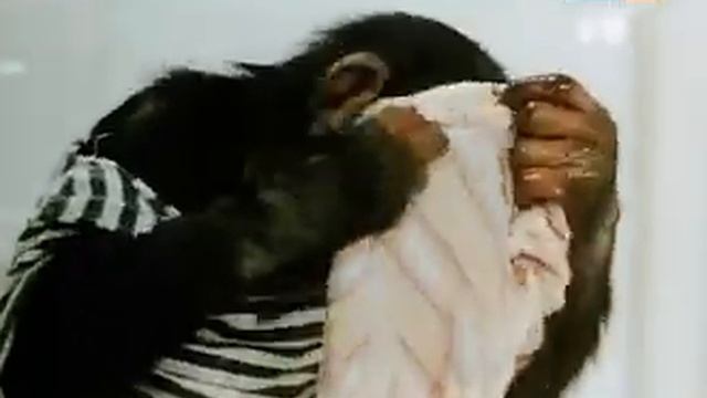 Rette Sich Wer Kann!  (UdSSR 1961)