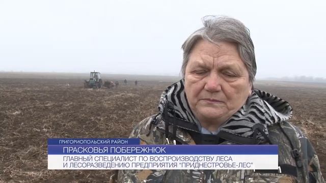 Восстановление леса в Григорипольском районе смотреть онлайн