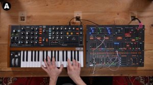 Behringer 2600 Analog Synthesizer | Playing Only!