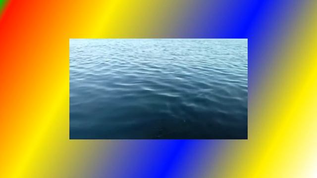 Спасибо друзья вам за дружбу смотреть онлайн