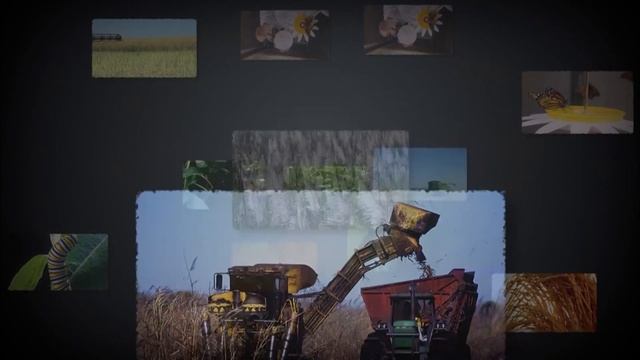 Пять ключей - Часть 3. Семена - Документальный фильм смотреть онлайн