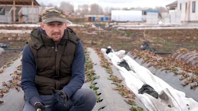 ОБРАБОТАЙТЕ КЛУБНИКУ ВЕСНОЙ ИМЕННО ТАК! смотреть онлайн