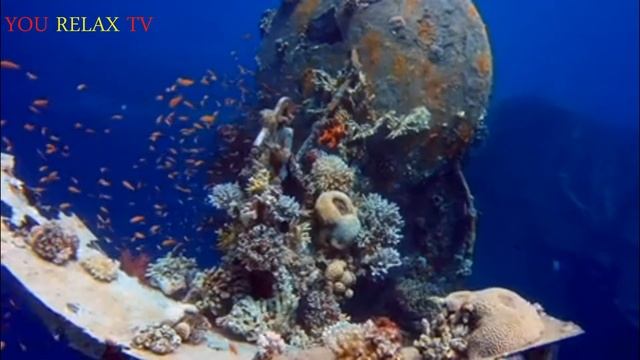 РЕЛАКС ~ БЕЗМЯТЕЖНЫЙ СОН. смотреть онлайн