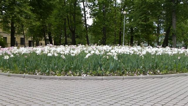 dmc tz30 тест зум смотреть онлайн