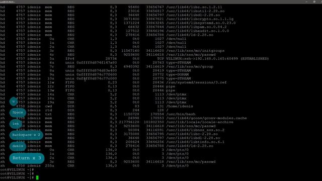 Анализ списка открытых файлов при помощи lsof | VzLinux 8.4 смотреть онлайн