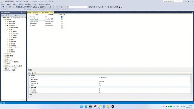S1004 SQL Server可视化建表 #编程 смотреть онлайн