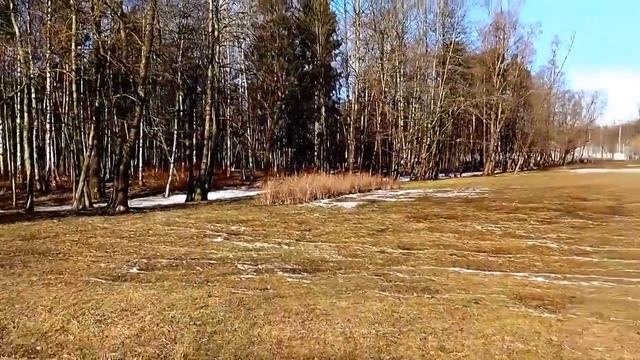 Прогулка: Удельный парк, Озерки VLOG смотреть онлайн