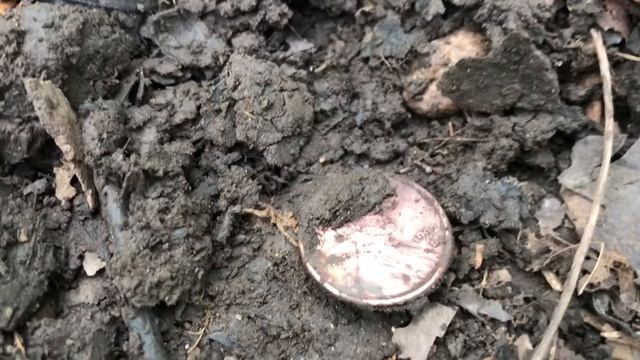 Metal Detecting With The Bounty Hunter Junior - Found An Old Timer Junior!