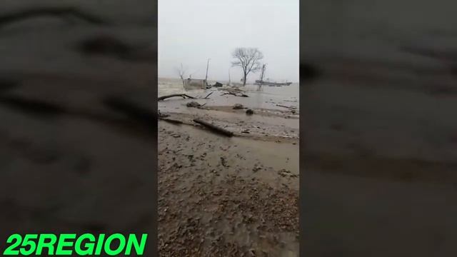 Апокалипсис в Приморье 2020/The Apocalypse in Primorye смотреть онлайн