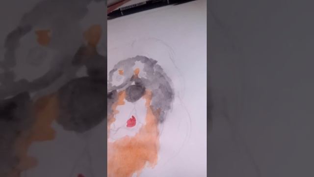 Рисую Тибетского мастифа для Леры Спортивной
