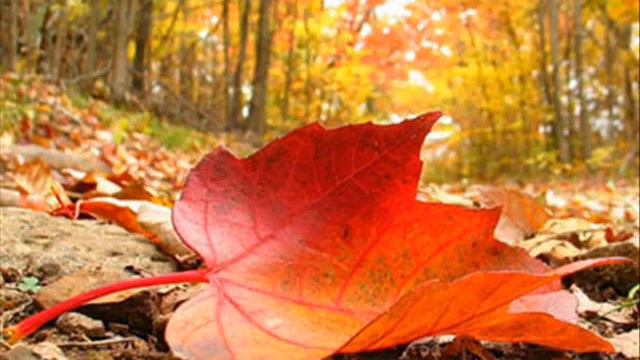 Фильм 0003 смотреть онлайн