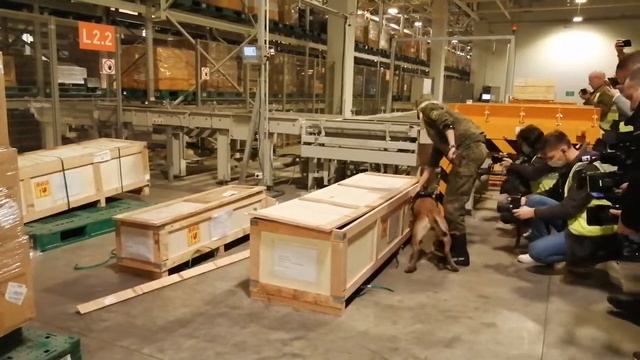 Кинолог таможни аэропорта Шереметьево с собакой проверяет груз смотреть онлайн