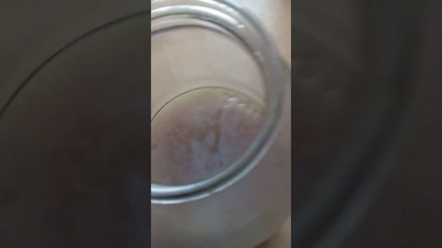 Спасти чайный гриб от плесени 2. Kombucha scoby help смотреть онлайн