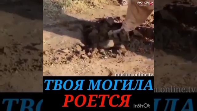 Молитесь пока не поздно. Печальное наше положение перед Аллаһ1 смотреть онлайн