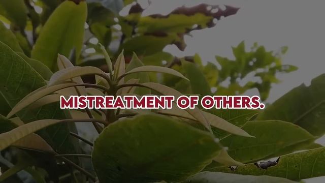 The Narcissist will suffer and leave you forever if you are able to do this to him #narcissist #npd смотреть онлайн