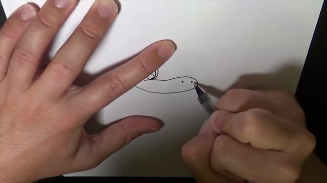 🦆Speed Drawing | Sitting Ducks 🦆 смотреть онлайн